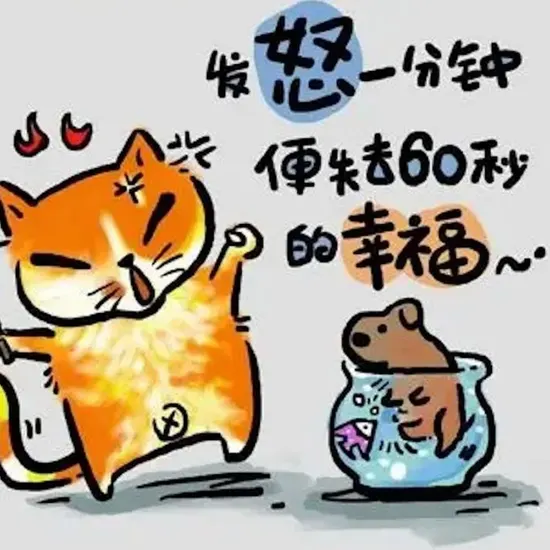 最新视频内容